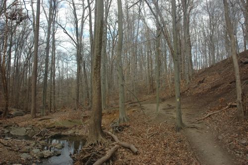 Potomac Overlook Regional Park